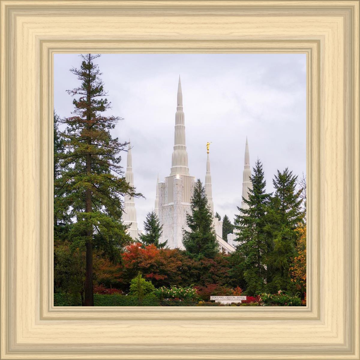 Portland Temple Forest Through The Trees