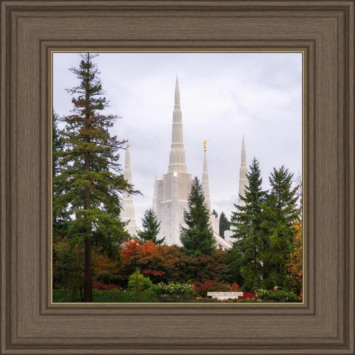 Portland Temple Forest Through The Trees