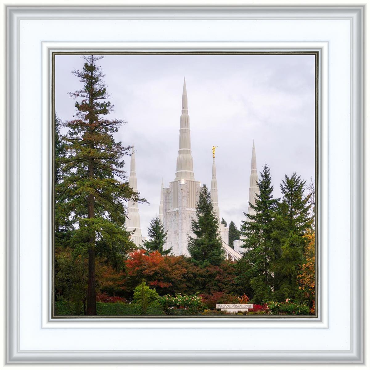 Portland Temple Forest Through The Trees