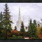 Portland Temple Forest Through The Trees