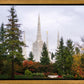 Portland Temple Forest Through The Trees