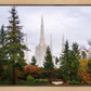 Portland Temple Forest Through The Trees