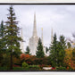 Portland Temple Forest Through The Trees