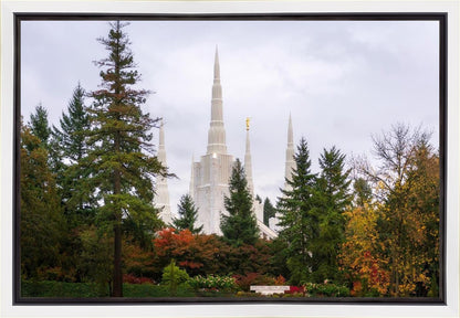 Portland Temple Forest Through The Trees