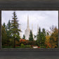 Portland Temple Forest Through The Trees