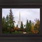 Portland Temple Forest Through The Trees