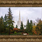 Portland Temple Forest Through The Trees