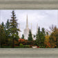 Portland Temple Forest Through The Trees