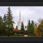 Portland Temple Forest Through The Trees