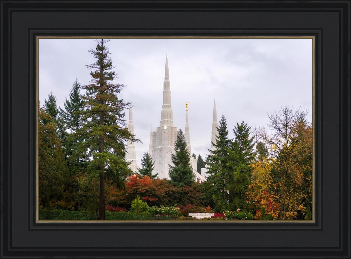 Portland Temple Forest Through The Trees