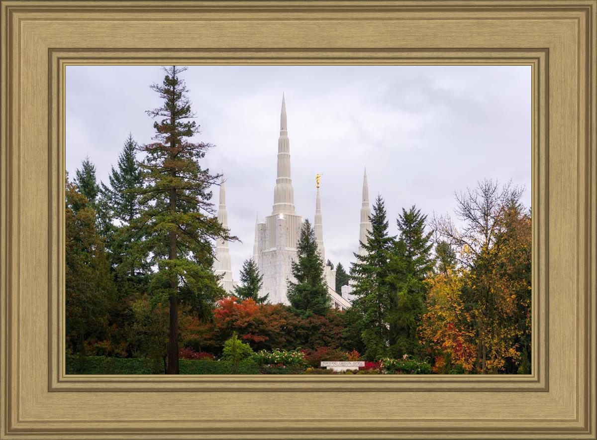 Portland Temple Forest Through The Trees