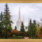 Portland Temple Forest Through The Trees