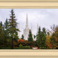 Portland Temple Forest Through The Trees