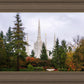 Portland Temple Forest Through The Trees