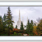 Portland Temple Forest Through The Trees