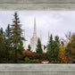 Portland Temple Forest Through The Trees