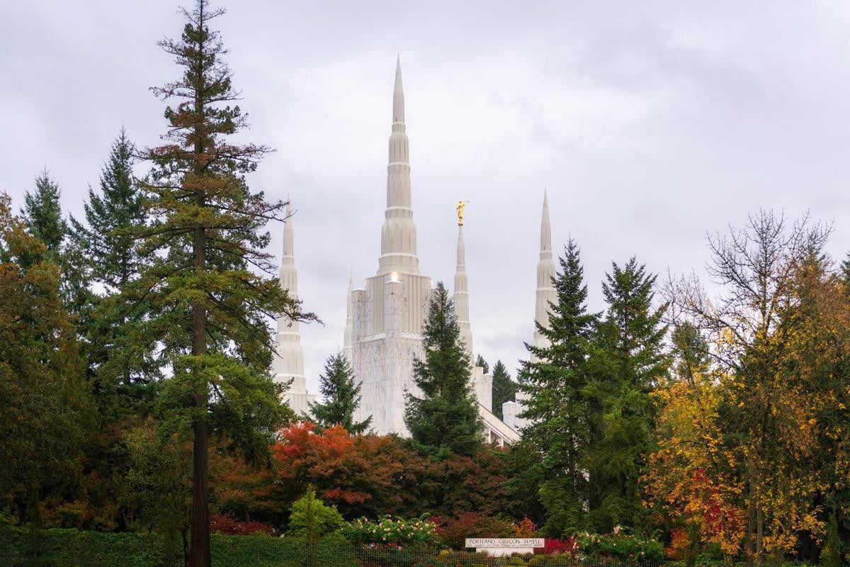 Portland Temple Forest Through The Trees Gallery Wrap