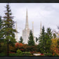Portland Temple Forest Through The Trees