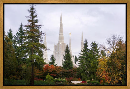 Portland Temple Forest Through The Trees