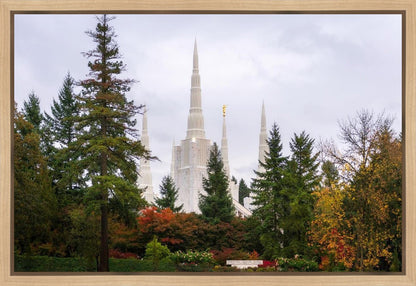 Portland Temple Forest Through The Trees