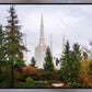 Portland Temple Forest Through The Trees