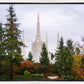 Portland Temple Forest Through The Trees