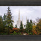 Portland Temple Forest Through The Trees