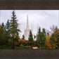 Portland Temple Forest Through The Trees