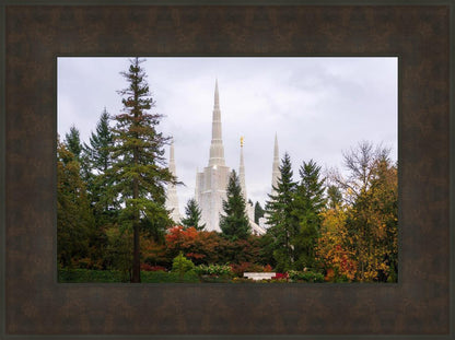 Portland Temple Forest Through The Trees
