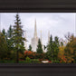 Portland Temple Forest Through The Trees