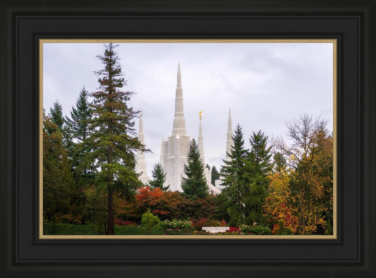 Portland Temple Forest Through The Trees