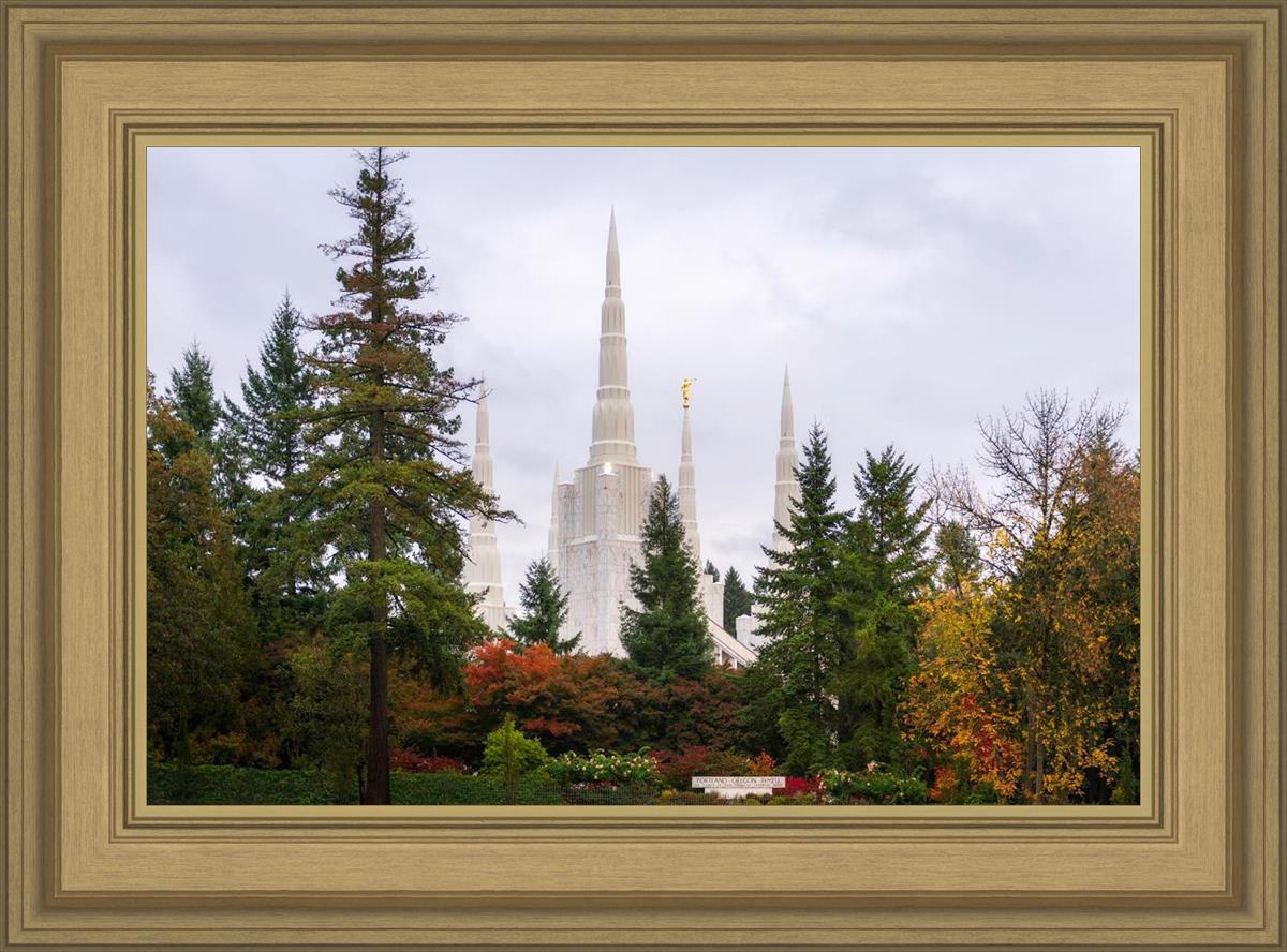 Portland Temple Forest Through The Trees