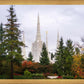 Portland Temple Forest Through The Trees