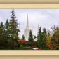 Portland Temple Forest Through The Trees