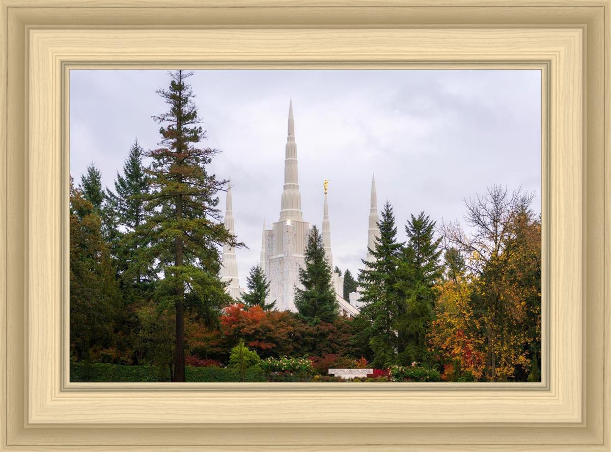 Portland Temple Forest Through The Trees