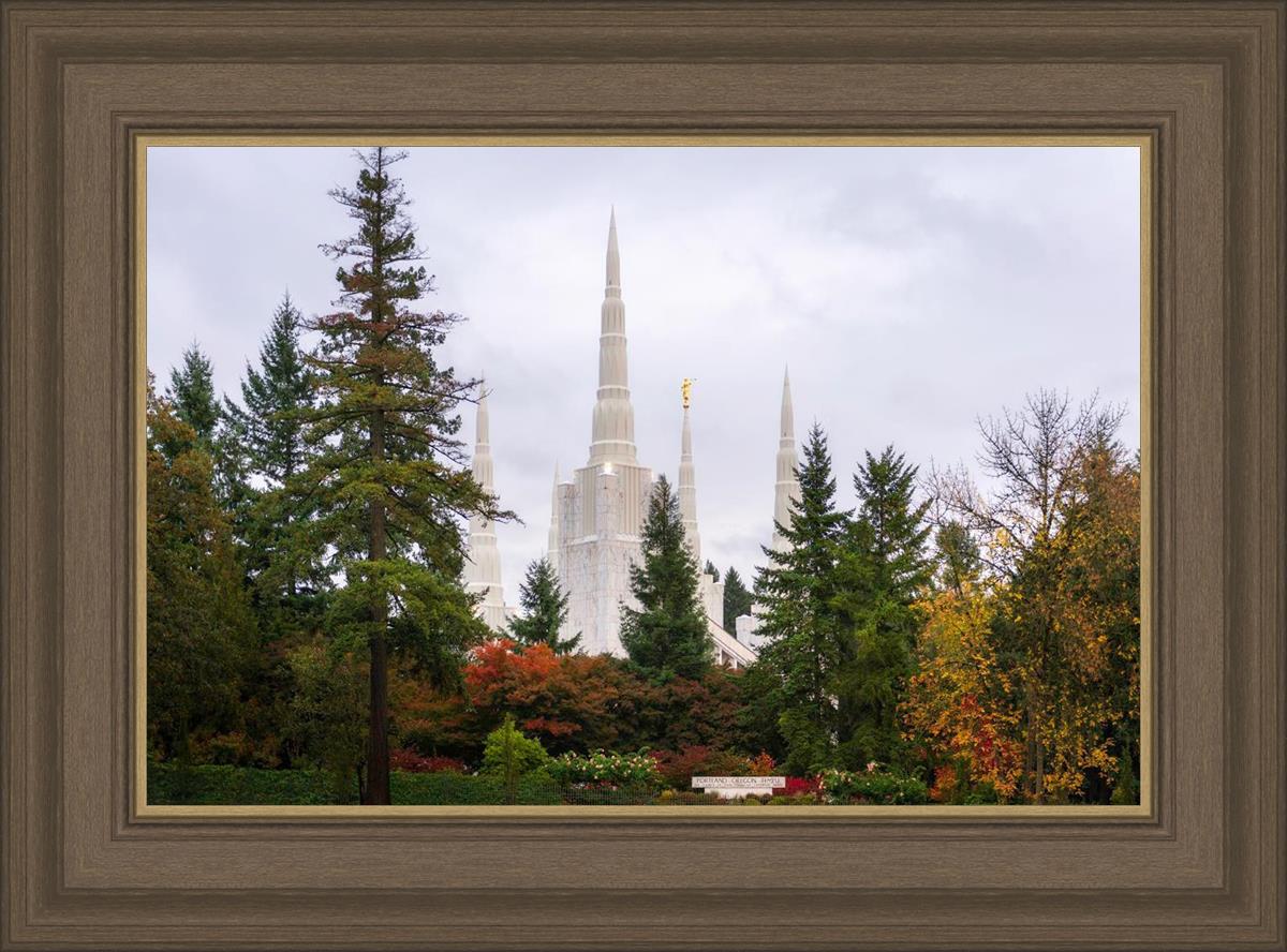 Portland Temple Forest Through The Trees