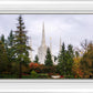 Portland Temple Forest Through The Trees