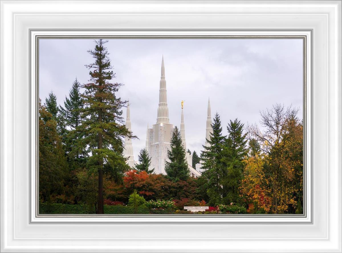 Portland Temple Forest Through The Trees