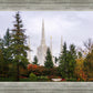 Portland Temple Forest Through The Trees