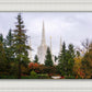 Portland Temple Forest Through The Trees