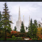 Portland Temple Forest Through The Trees