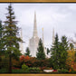 Portland Temple Forest Through The Trees