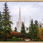 Portland Temple Forest Through The Trees
