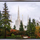 Portland Temple Forest Through The Trees