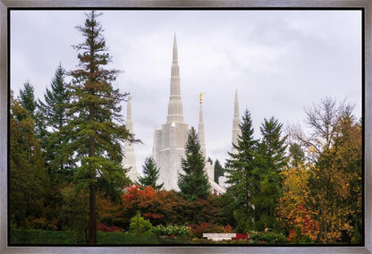 Portland Temple Forest Through The Trees