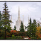 Portland Temple Forest Through The Trees