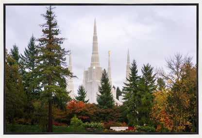 Portland Temple Forest Through The Trees