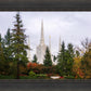 Portland Temple Forest Through The Trees