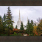 Portland Temple Forest Through The Trees