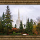 Portland Temple Forest Through The Trees